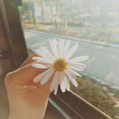 365平台官方版下载app下载